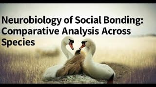Neurobiology of Social Bonding: Comparative Analysis Across Species