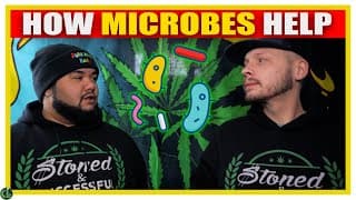 Microbes For Weed Plants EXPLAINED