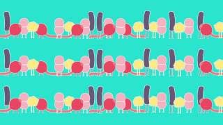 The Human Microbiome