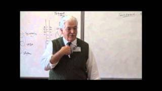 Basic Science of the Brain and Addiction: Serotonin Neurotransmitters